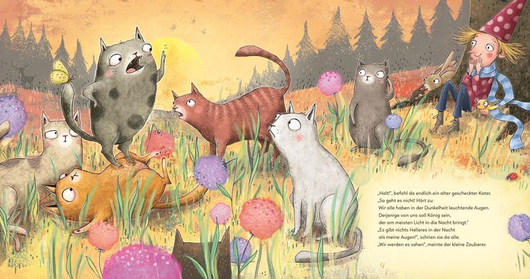 Produktbild: Der kleine Zauberer und der K&ouml;nig der Katzen