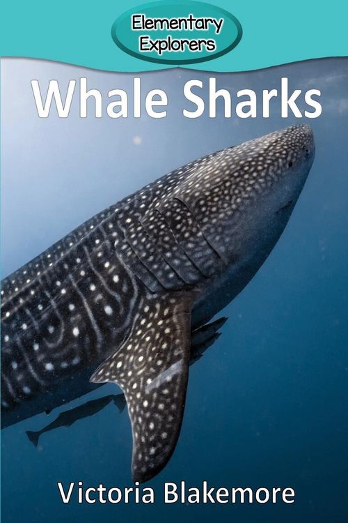 Produktbild: Whale Sharks