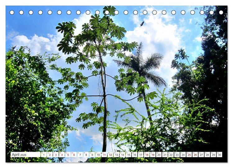 Produktbild: Naturjuwel Soroa - Ein St&uuml;ck vom Paradies auf Kuba (Tischkalender 2026 DIN A5 quer), CALVENDO Monatskalender