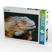 Produktbild: CALVENDO Puzzle Gr&uuml;ner Leguan | 1000 Teile Lege-Gr&ouml;&szlig;e 64x48cm Foto-Puzzle f&uuml;r gl&uuml;ckliche Stunden