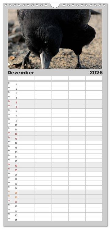 Produktbild: Familienplaner 2026 - Rabenschwarze Impressionen - meike-ajo-dettlaff.de via wildvogelhlfe.org mit 5 Spalten (Wandkalender, 21 x 45 cm) CALVENDO
