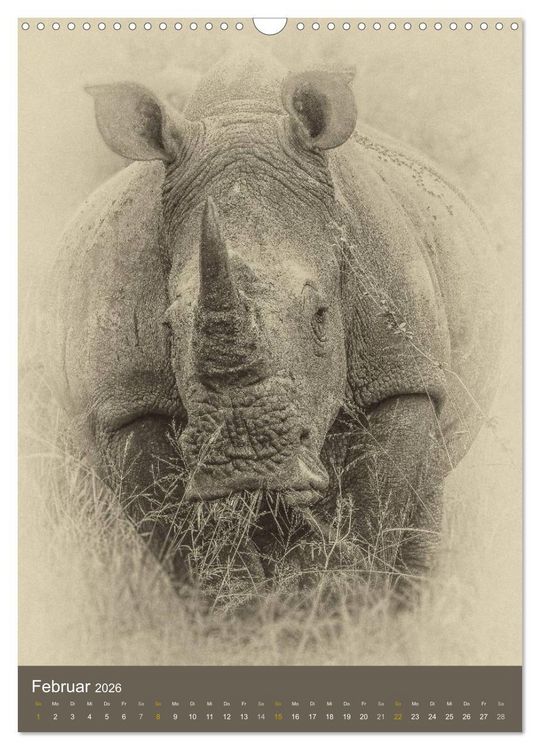 Produktbild: Afrikas Tierwelt - Sepia-Art (Wandkalender 2026 DIN A3 hoch), CALVENDO Monatskalender