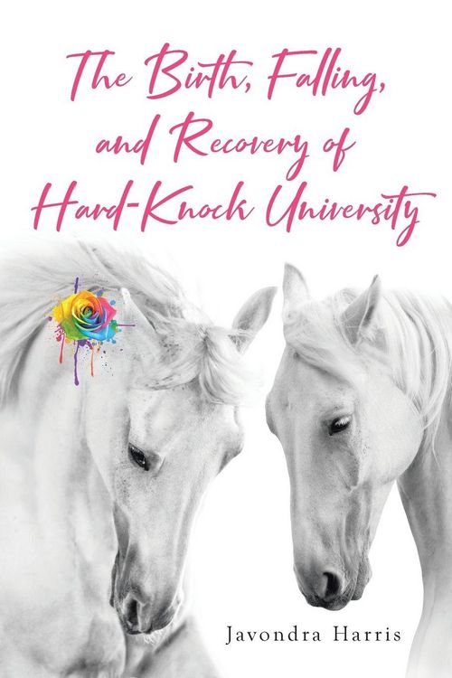 Produktbild: The Birth, Falling, and Recovery of Hard-Knock University