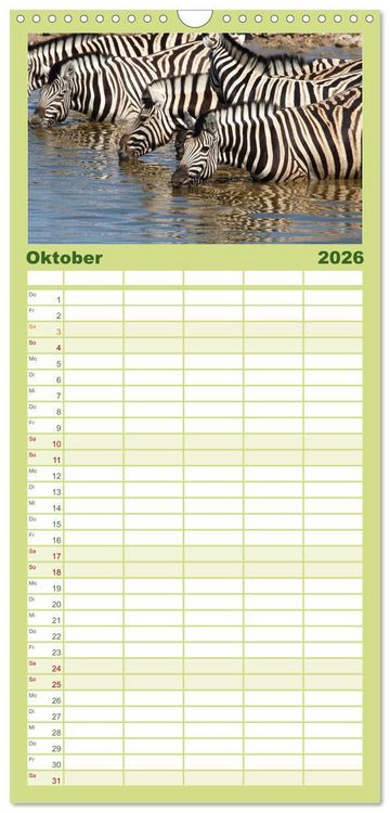 Produktbild: Familienplaner 2026 - Zebras - Faszination der Wildnis mit 5 Spalten (Wandkalender, 21 x 45 cm) CALVENDO