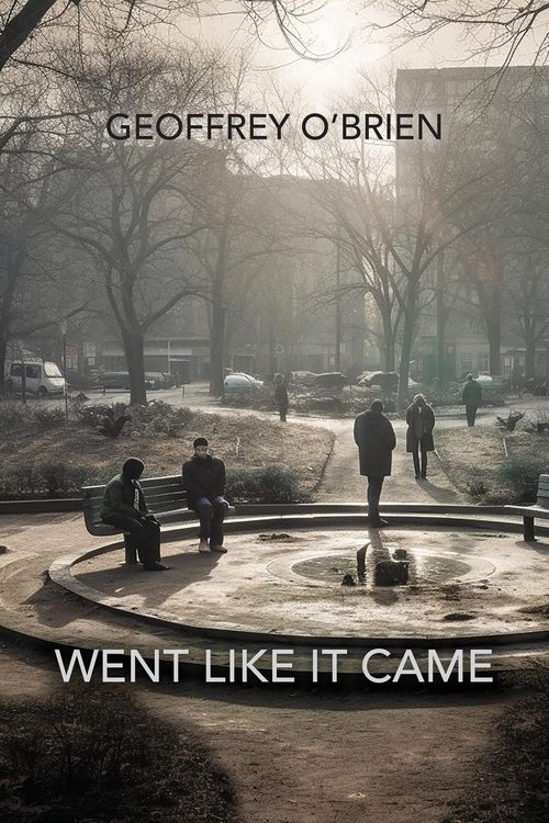 Produktbild: Went Like It Came