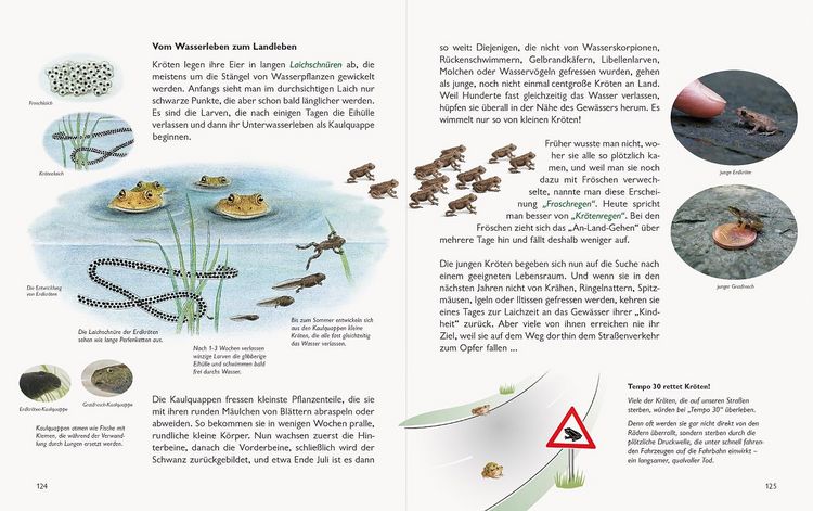Produktbild: Wawra's Naturbuch &ndash; Unserer Natur auf der Spur, Bd. 1: S&auml;ugetiere, V&ouml;gel, Reptilien, Amphibien