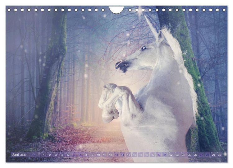 Produktbild: Einhorn Love - Fantasiewelt (Wandkalender 2026 DIN A4 quer), CALVENDO Monatskalender