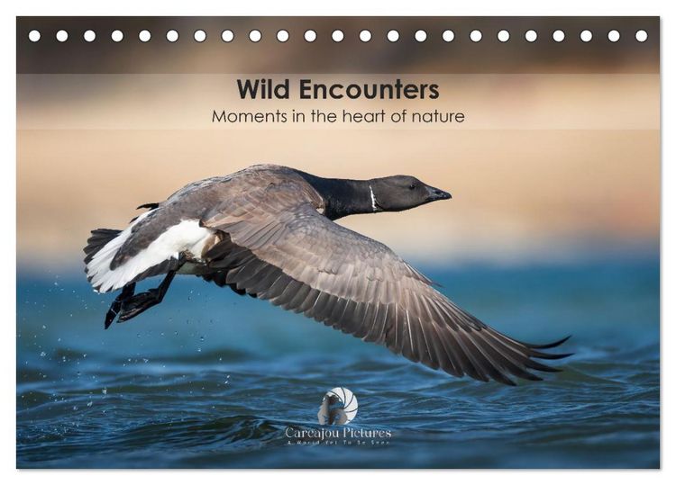 Produktbild: Wild encounters &ndash; Moments in the heart of nature (Desk Calendar 2026 DIN A5 landscape), CALVENDO 12 Month DeskCalendar