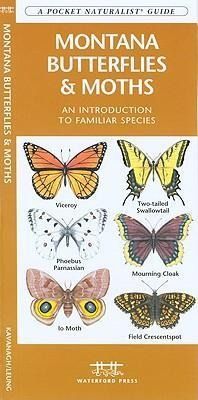 Produktbild: Montana Butterflies & Moths