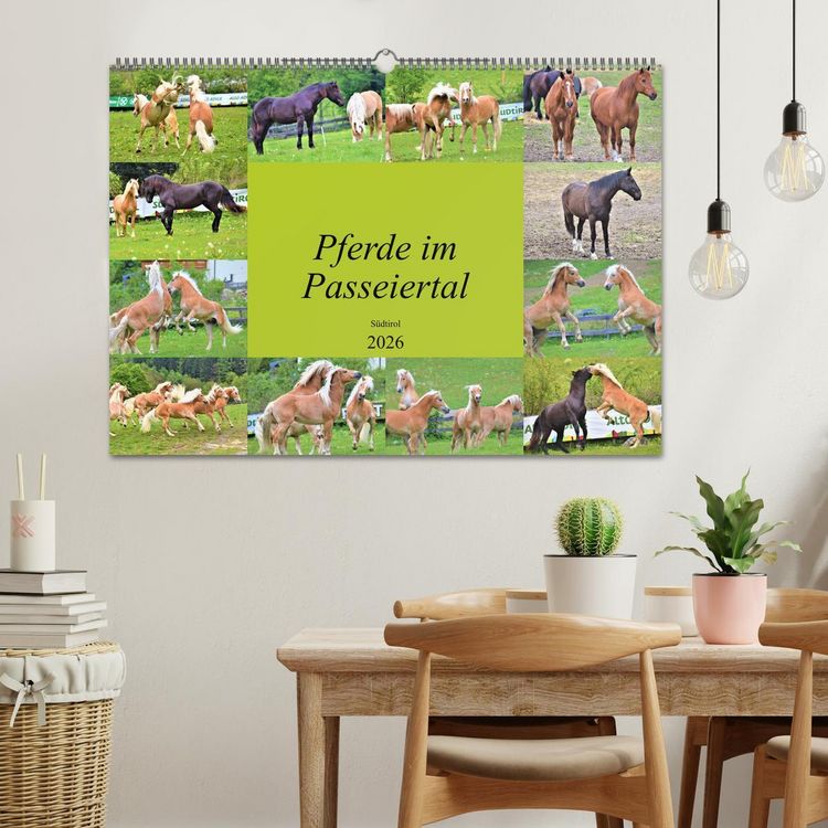 Produktbild: Pferde im Passeiertal (Wandkalender 2026 DIN A2 quer), CALVENDO Monatskalender