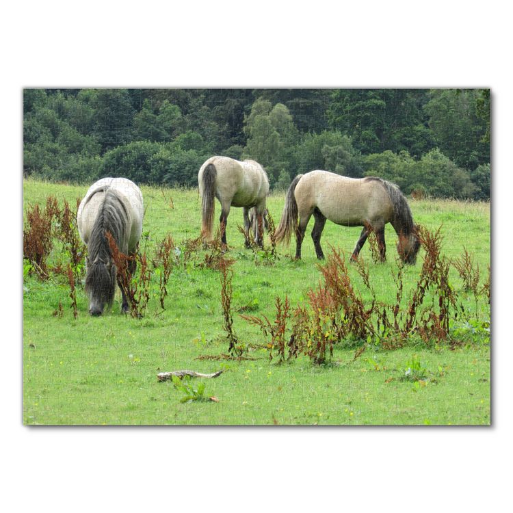 Produktbild: Lais Puzzle Pferde 1000 Teile