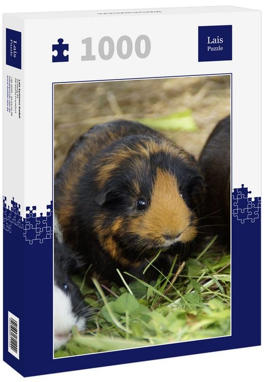 Produktbild: Lais Puzzle Meerschweinchen 1000 Teile