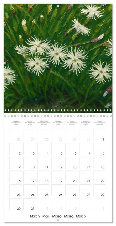 Produktbild: Eurasia Flowers (Wall Calendar 2026 12 &times; 12 Inch) CALVENDO 12 Month Wall Calendar