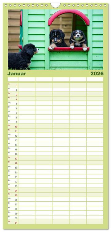 Produktbild: Familienplaner 2026 - Liebling BERNER SENNENHUND mit 5 Spalten (Wandkalender, 21 x 45 cm) CALVENDO