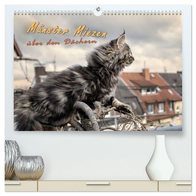 Produktbild: M&uuml;nster Miezen - &uuml;ber den D&auml;chern (hochwertiger Premium Wandkalender 2026 DIN A2 quer), Kunstdruck in Hochglanz