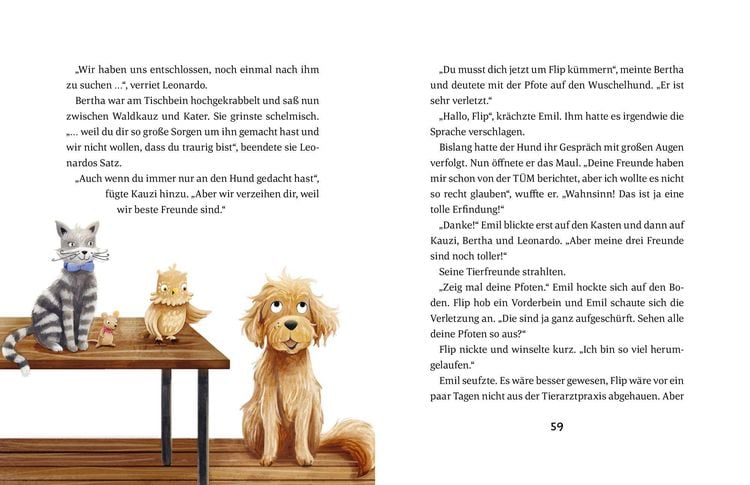 Produktbild: Emil Einstein (Bd. 4)