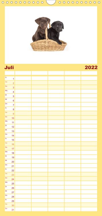 Produktbild: Familienplaner Labrador - Welpen (Wandkalender 2022 , 21 cm x 45 cm, hoch)