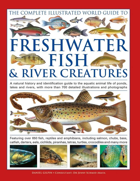 Produktbild: The Complete Illustrated World Guide to Freshwater Fish and River Creatures
