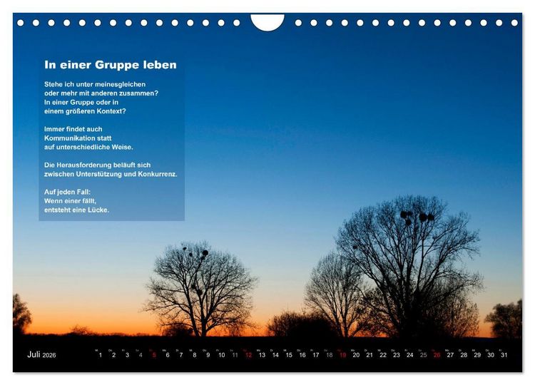 Produktbild: Stehen wie ein Baum (Wandkalender 2026 DIN A4 quer), CALVENDO Monatskalender