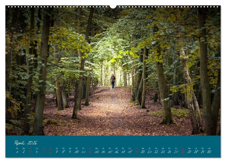 Produktbild: Blick auf die Halbinsel Fischland, Dar&szlig; und Zingst (Wandkalender 2026 DIN A2 quer), CALVENDO Monatskalender
