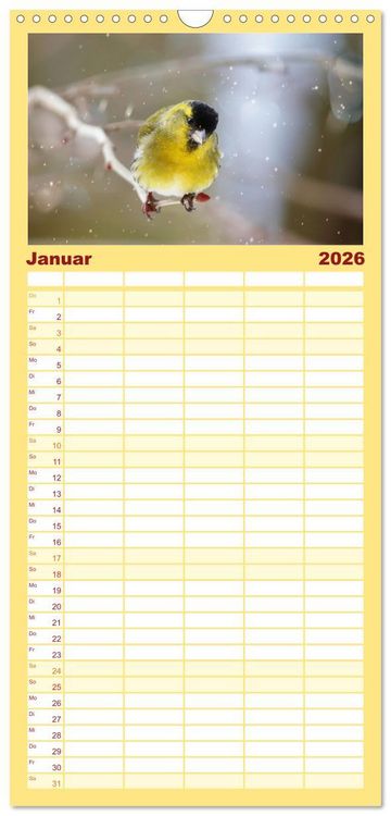 Produktbild: Familienplaner 2026 - Erlenzeisige mit 5 Spalten (Wandkalender, 21 x 45 cm) CALVENDO
