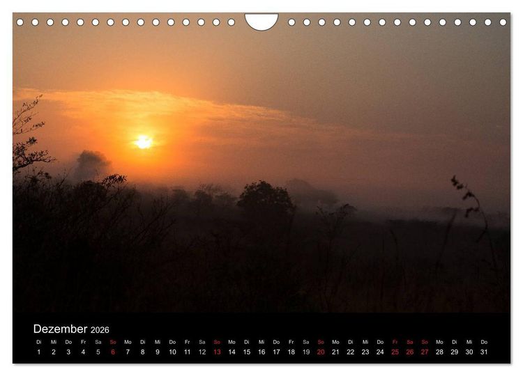 Produktbild: Wundersch&ouml;nes S&uuml;dafrika (Wandkalender 2026 DIN A4 quer), CALVENDO Monatskalender