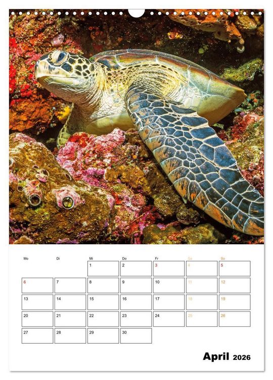 Produktbild: Wunderbare Wasserwelt der Meeresschildkr&ouml;ten (Wandkalender 2026 DIN A3 hoch), CALVENDO Monatskalender