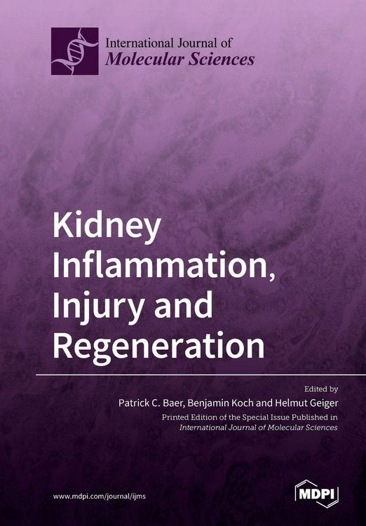 Produktbild: Kidney Inflammation, Injury and Regeneration