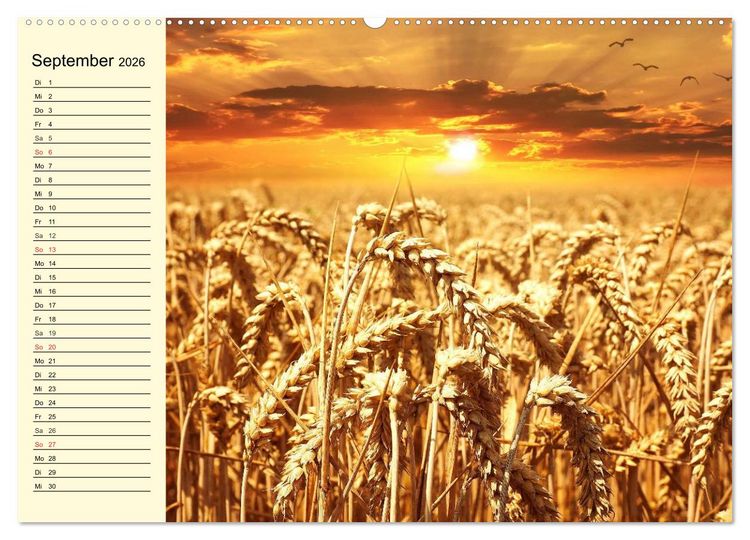 Produktbild: Bier. Die Kunst des Bierbrauens. Impressionen (Wandkalender 2026 DIN A2 quer), CALVENDO Monatskalender