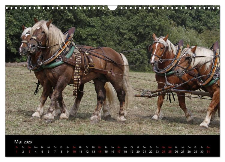 Produktbild: Starke Pferde bei der Arbeit (Wandkalender 2026 DIN A3 quer), CALVENDO Monatskalender