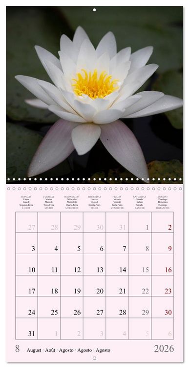 Produktbild: Les saisons en fleurs (Calendrier mural carr&eacute; 2026 30x30 cm) Calendrier double avec une page pour vos prises de notes