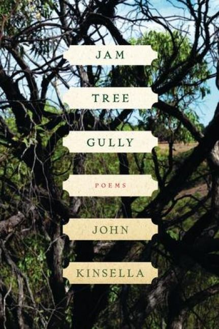 Produktbild: Jam Tree Gully