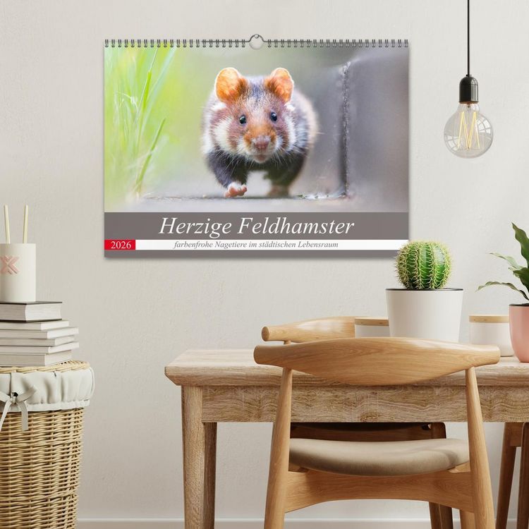 Produktbild: Herzige Feldhamster - farbenfrohe Nagetiere im st&auml;dtischen Lebensraum (Wandkalender 2026 DIN A3 quer), CALVENDO Monatskalender
