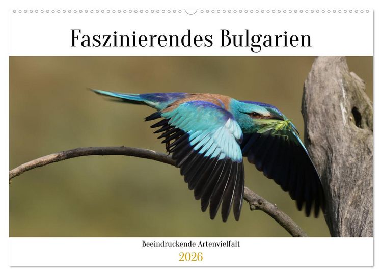 Produktbild: Faszinierendes Bulgarien (Wandkalender 2026 DIN A2 quer), CALVENDO Monatskalender