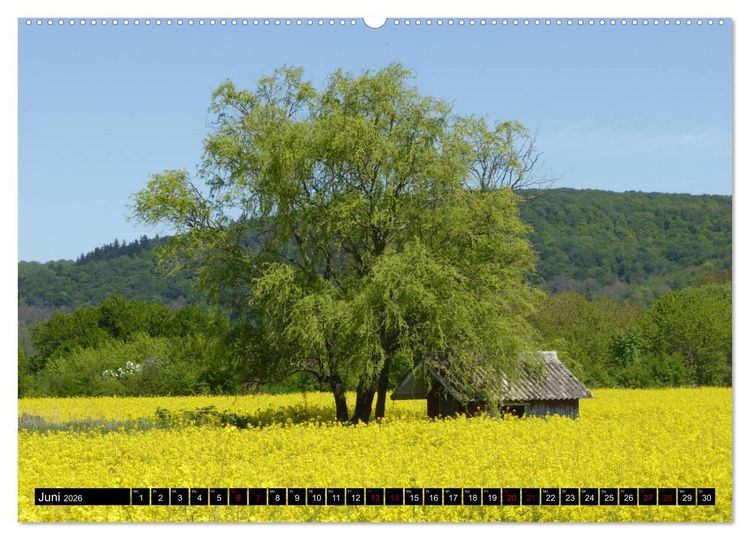 Produktbild: Badisch sympathisch Weingarten (hochwertiger Premium Wandkalender 2026 DIN A2 quer), Kunstdruck in Hochglanz