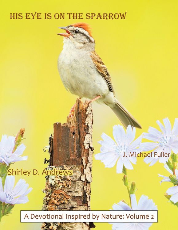 Produktbild: HIS Eye is on the Sparrow