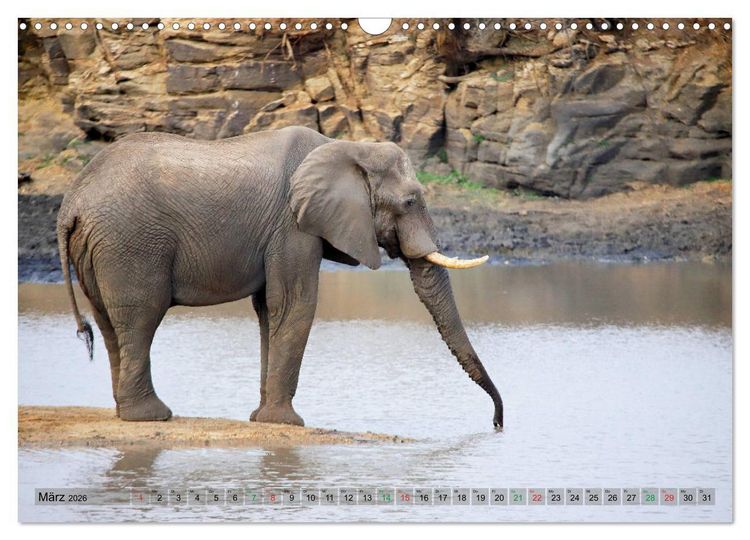 Produktbild: Elefanten in Afrika (Wandkalender 2026 DIN A3 quer), CALVENDO Monatskalender