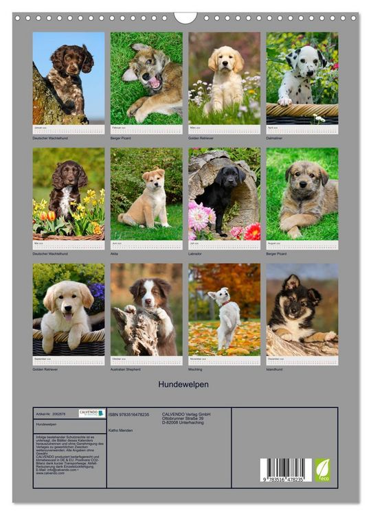 Produktbild: Hundewelpen (Wandkalender 2026 DIN A3 hoch), CALVENDO Monatskalender
