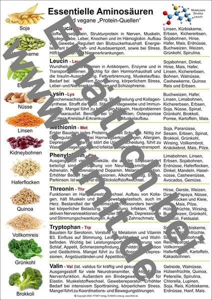 Produktbild: Aminos&auml;uren und vegane Protein-Quellen