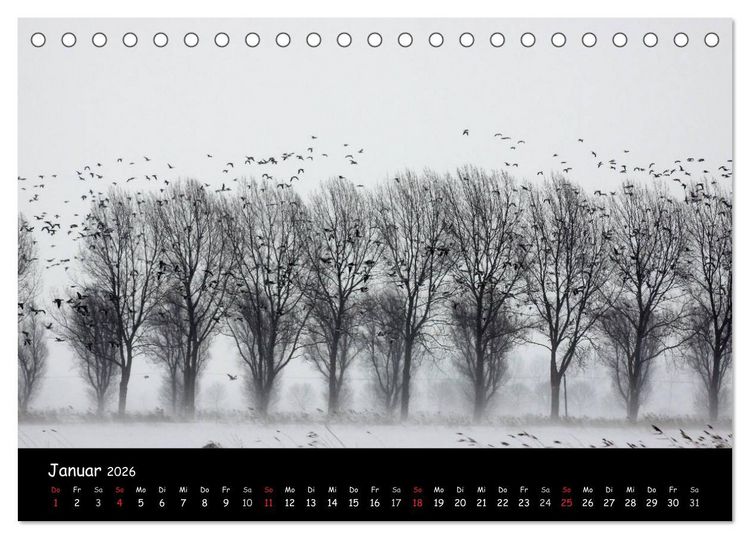 Produktbild: Schrei der Wildg&auml;nse (Tischkalender 2026 DIN A5 quer), CALVENDO Monatskalender