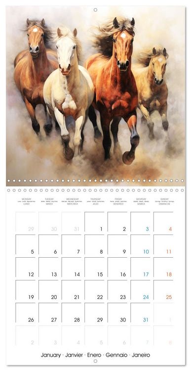 Produktbild: &Eacute;l&eacute;gance &eacute;quine (Calendrier mural carr&eacute; 2026 30x30 cm) Calendrier double avec une page pour vos prises de notes