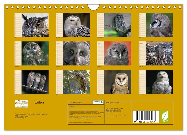 Produktbild: Eulen (Wandkalender 2026 DIN A4 quer), CALVENDO Monatskalender