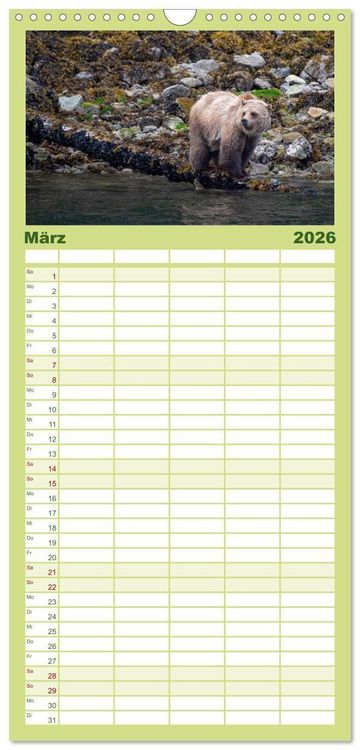 Produktbild: Familienplaner 2026 - Grizzlys und Geisterb&auml;ren - Glendale Cove, Kanada mit 5 Spalten (Wandkalender, 21 x 45 cm) CALVENDO