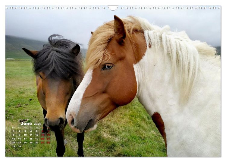 Produktbild: Iceland Beauty of Nature (Wall Calendar 2026 DIN A3 landscape), CALVENDO 12 Month Wall Calendar
