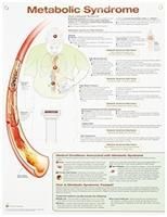 Produktbild: Anatomical Chart Company: Metabolic Syndrome