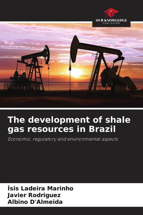 Produktbild: The development of shale gas resources in Brazil