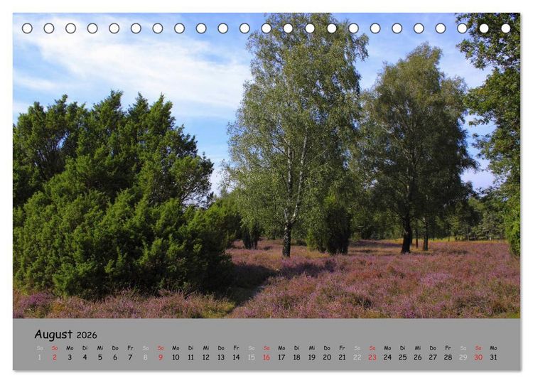 Produktbild: L&uuml;neburger Heide - sch&ouml;n zu jeder Jahreszeit (Tischkalender 2026 DIN A5 quer), CALVENDO Monatskalender