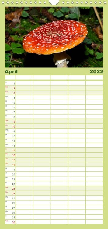 Produktbild: Familienplaner Pilze, Pilze (Wandkalender 2022 , 21 cm x 45 cm, hoch)