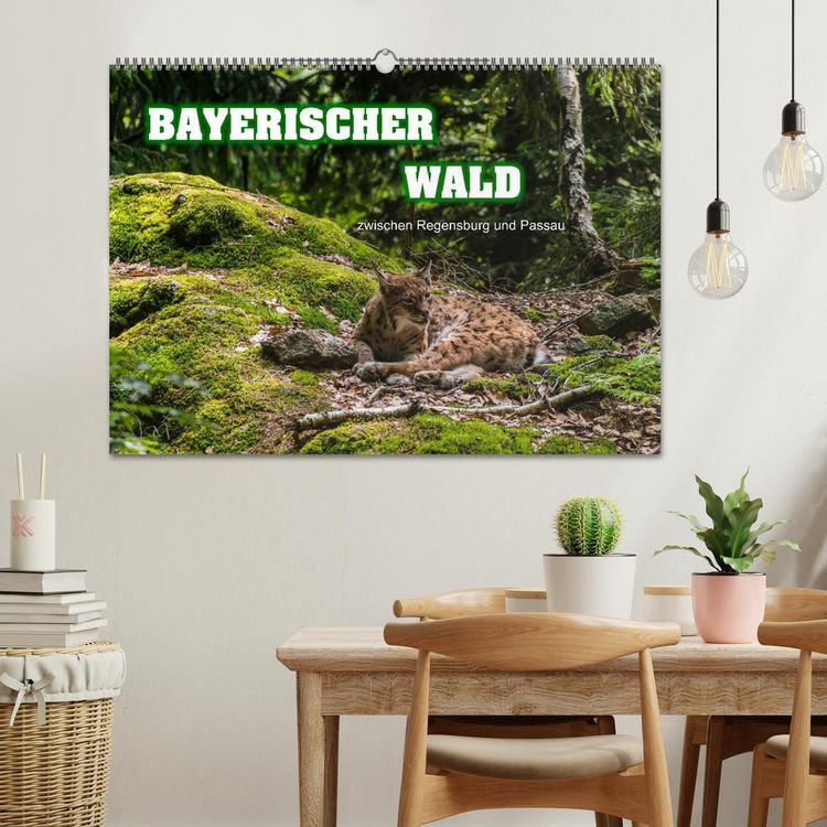 Produktbild: Bayerischer Wald (Wandkalender 2026 DIN A2 quer), CALVENDO Monatskalender