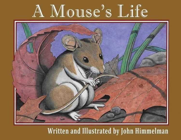 Produktbild: A Mouse's Life